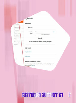 Baji bet login my account p
