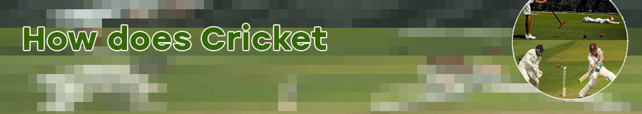 How to bet cricket on baji bet