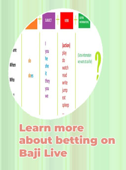 What is baji bet and how does it work